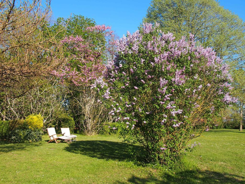 Gite De Charme Au Bord Du Tarn Marssac-sur-Tarn Exterior photo